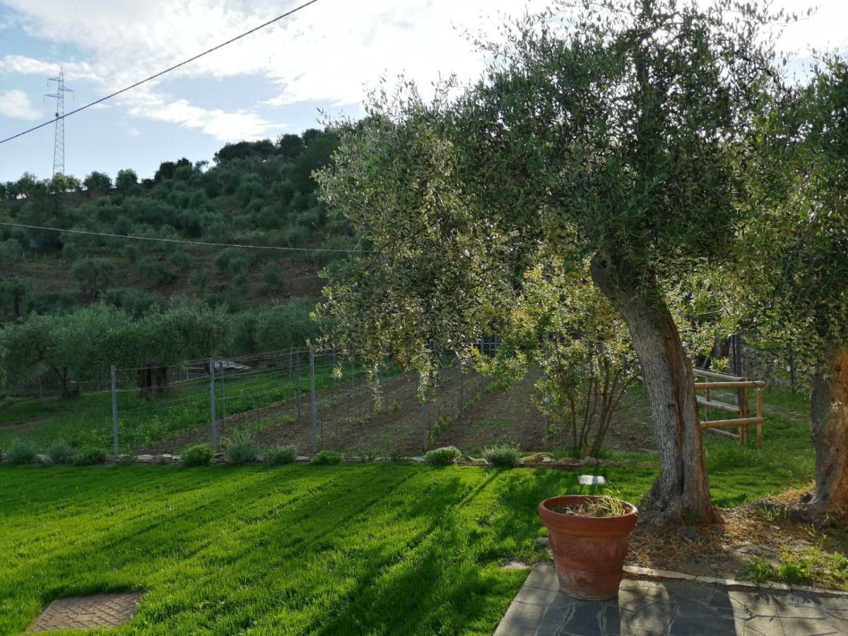 Agriturismo Oltrealmare Civezza Esterno foto